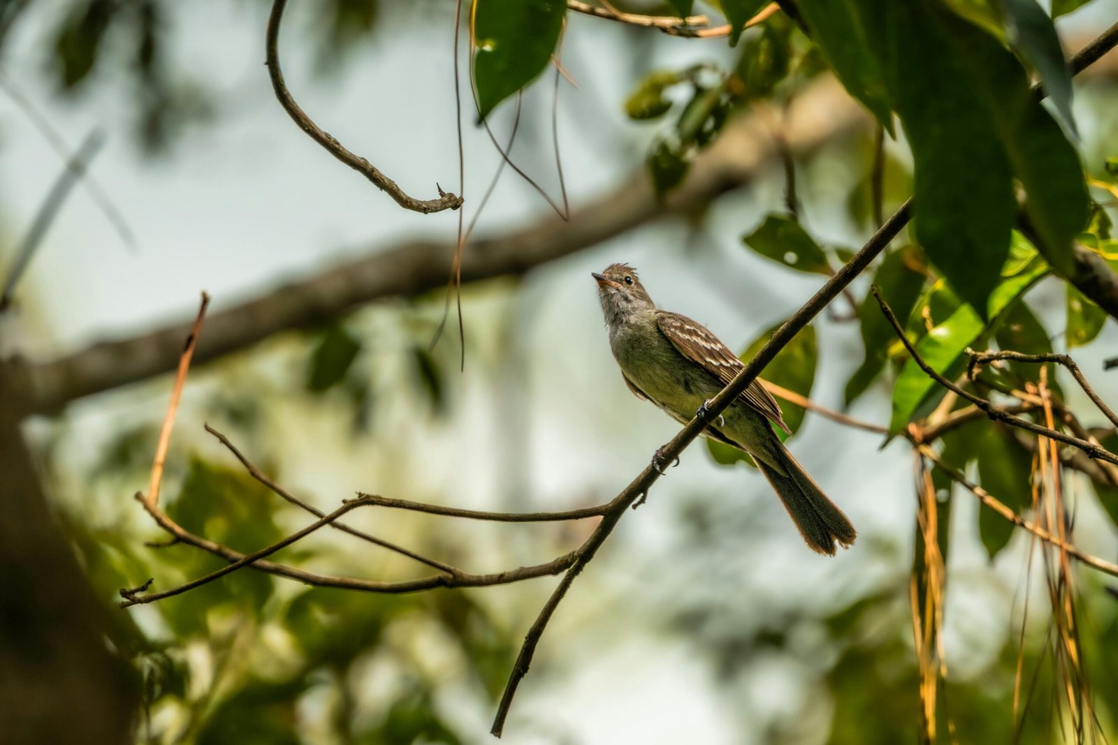 pexels-diego-fraga-110688029-35608117